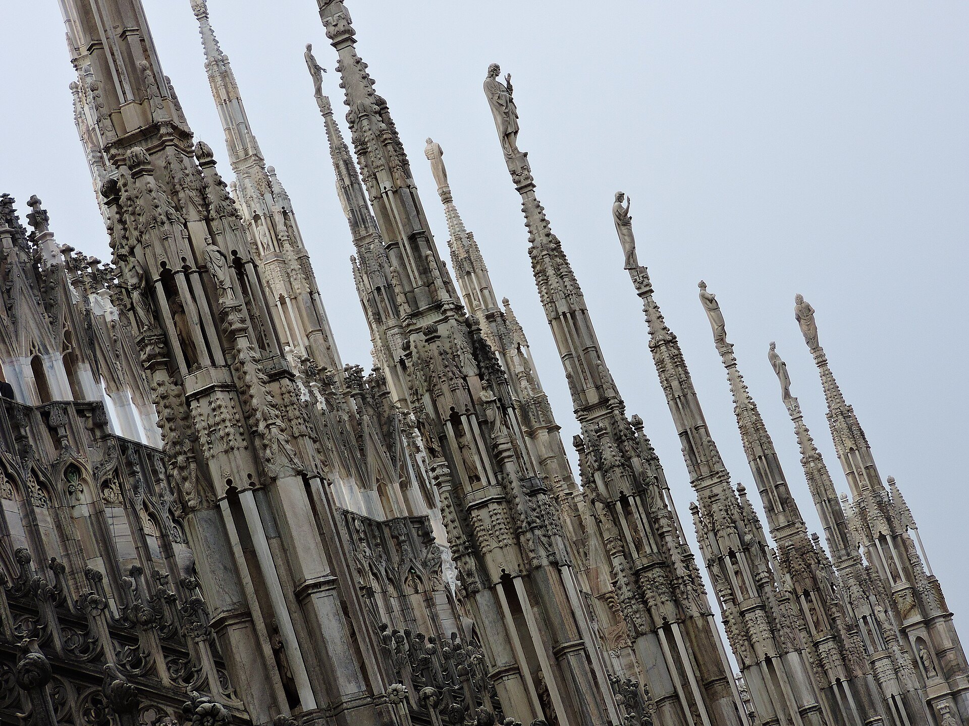 Marble spires and statues rising close together on the roof of Milan Cathedral