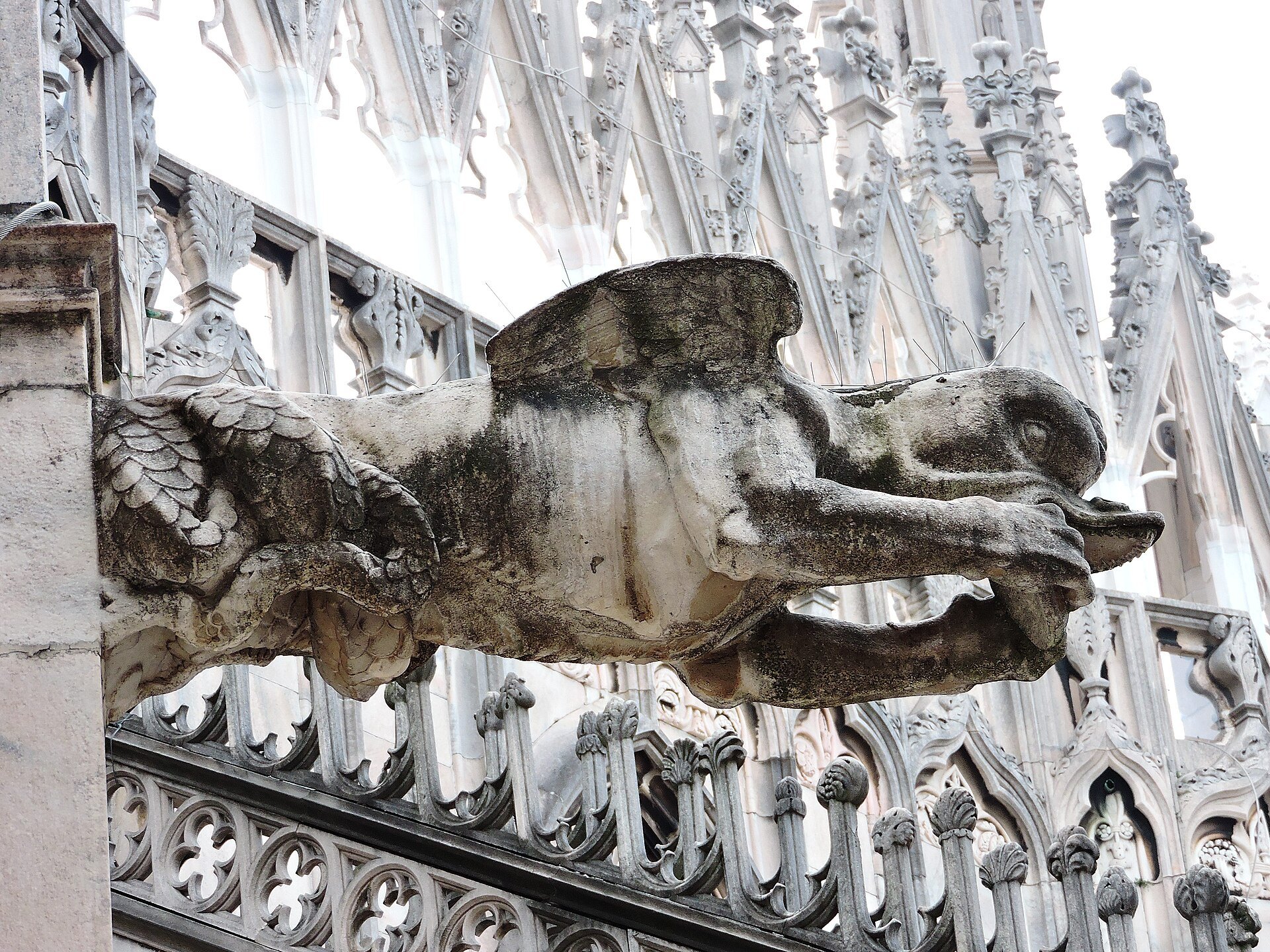 A carved stone waterspout on the cathedral roof, close up