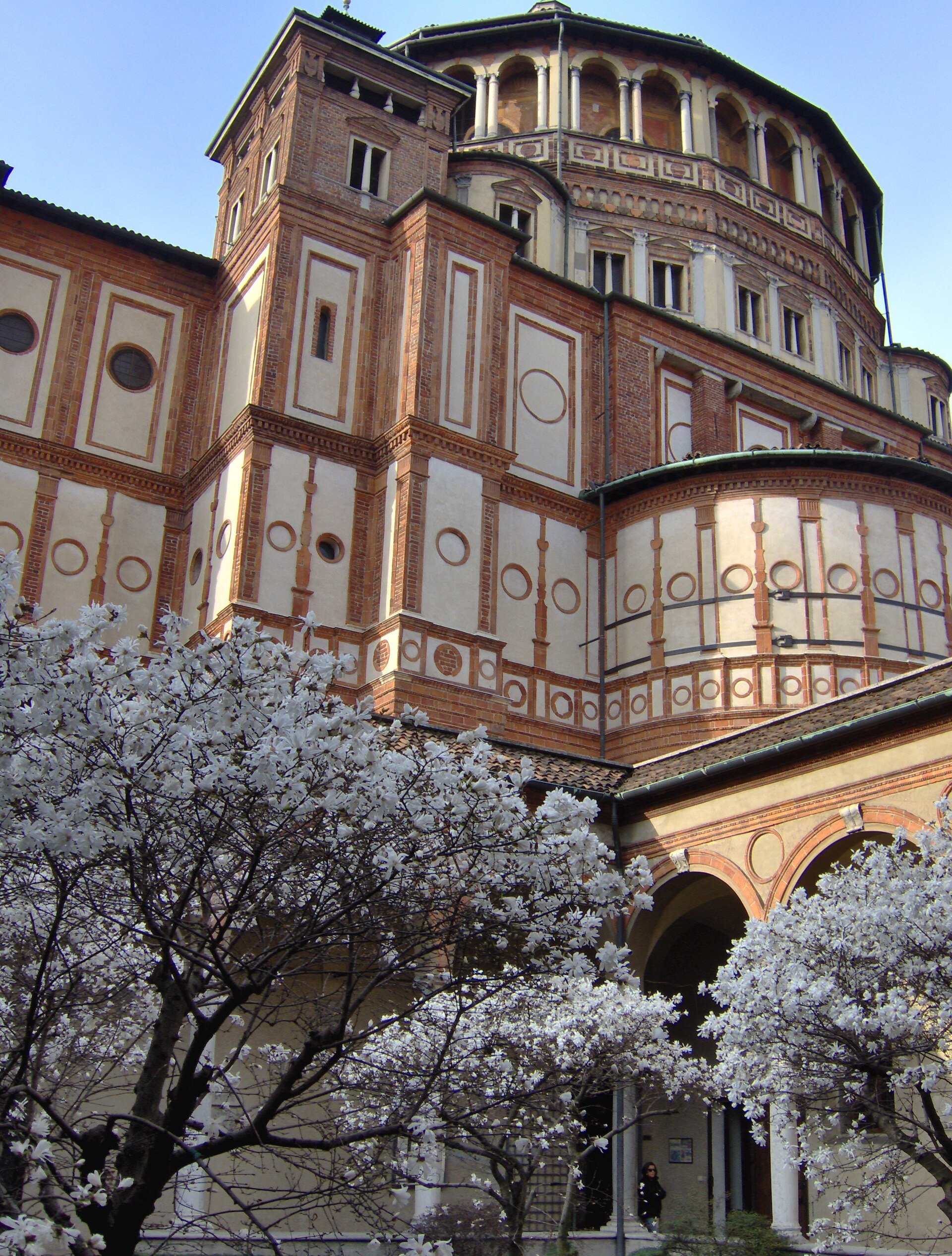 Santa Maria delle Grazie seen from the cloister through a flowering tree